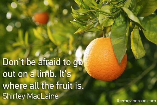 Don't be afraid to go out on a limb