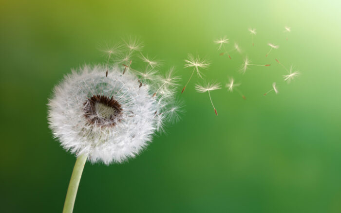 Dealing with change – Here is a way to take control 1 How to cope when things change