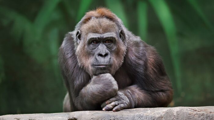 Are you addicted to thinking? Can't stop Thinking? 6 Cannot Stop Thinking