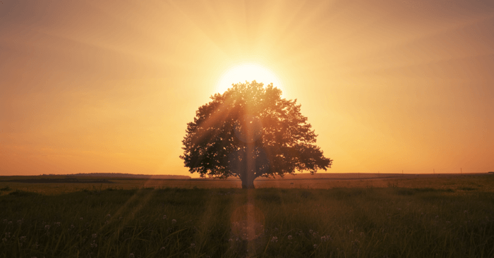 Favourite Peace of Mind Quotes 1 best piece of mind