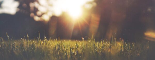 7 day meditation introduction 1