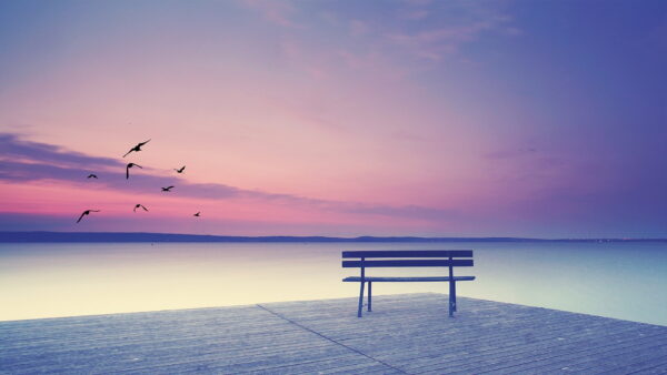 Website Header Steven Webb Inner Peace Mentor 2