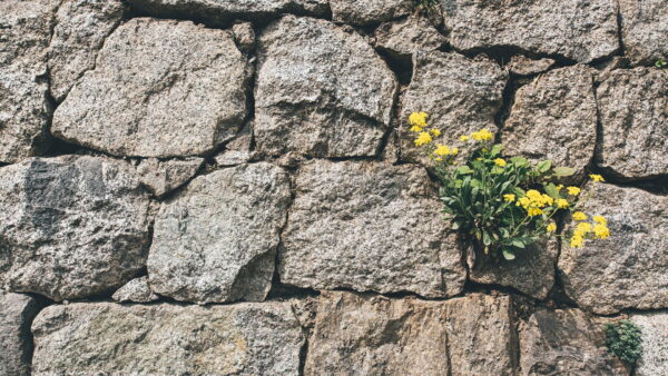 Managing Expectations vs Your Inner Peace fi
