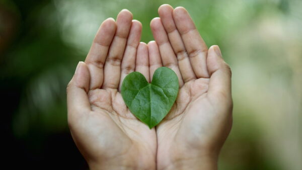 EP11 Living with a Big Heart without Suffering featured 2