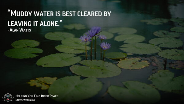 3 Practices For Finding Inner Peace and Happiness Steven Webb 1