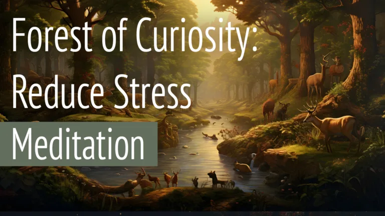 Forest of curiosity to reduce stress and anxiety